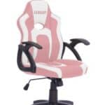 כיסא גיימינג ארגונומי עד גיל 10 עם ידיות דגם כריש בצבע לבן וורוד| מקט LEVEL UP SHARK |G512P FXR