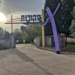 בובת דנסר בצבע סגול להשכרה