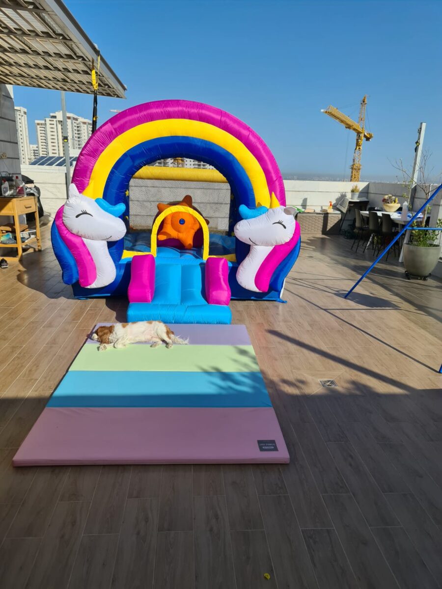 ⁦מתנפח חד קרן 8004 Happy Hop⁩ – תמונה ⁦4⁩
